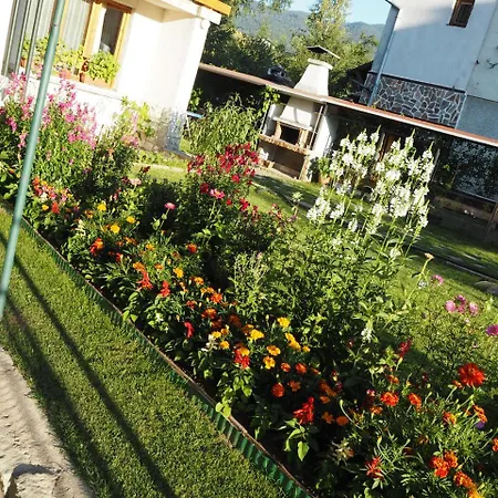 Konukevi орбелус