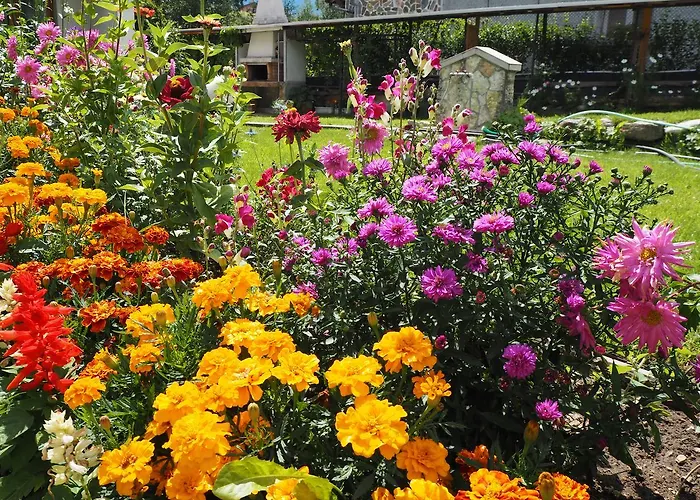 орбелус Maison d'hôtes *